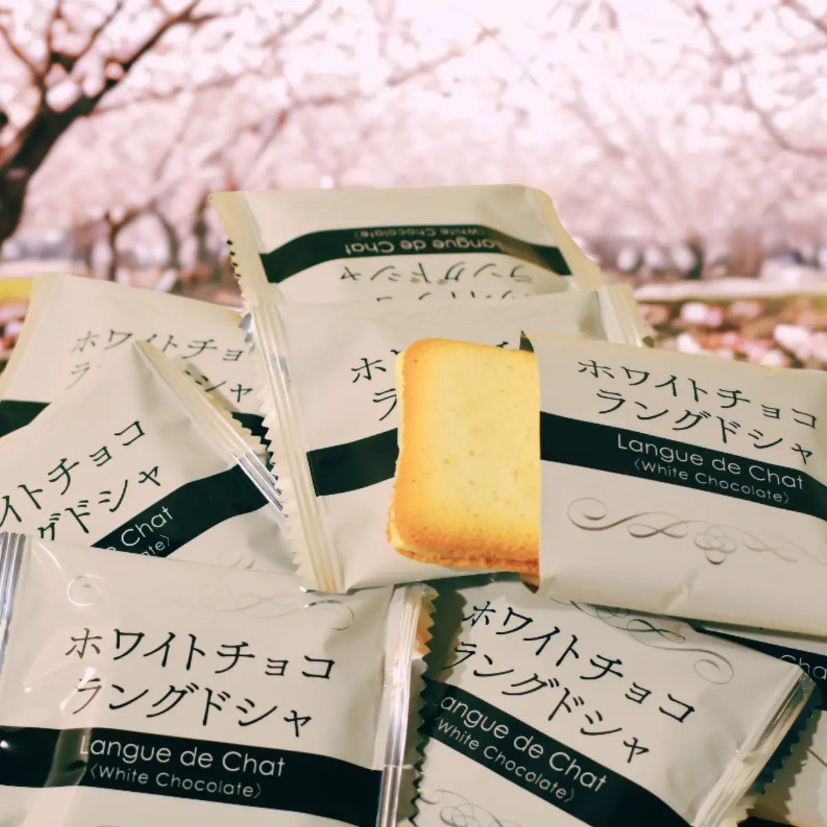 Langue de chat au Chocolat blanc Yuuki snacks