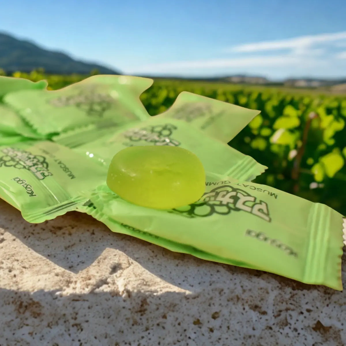 Bonbon Gummy Raisin chardonnay Yuuki snacks
